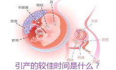 【图】科学小贴士：引产手术全解析★6项引产前检查