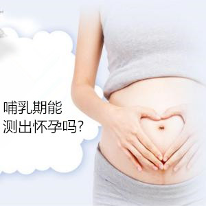【哺乳期能测出怀孕吗】_4种方法检测哺乳期是否又怀孕