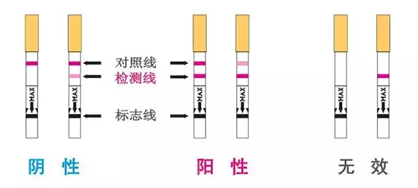 验孕棒多久能测出来_5个验孕棒使用注意事项，提高检测！