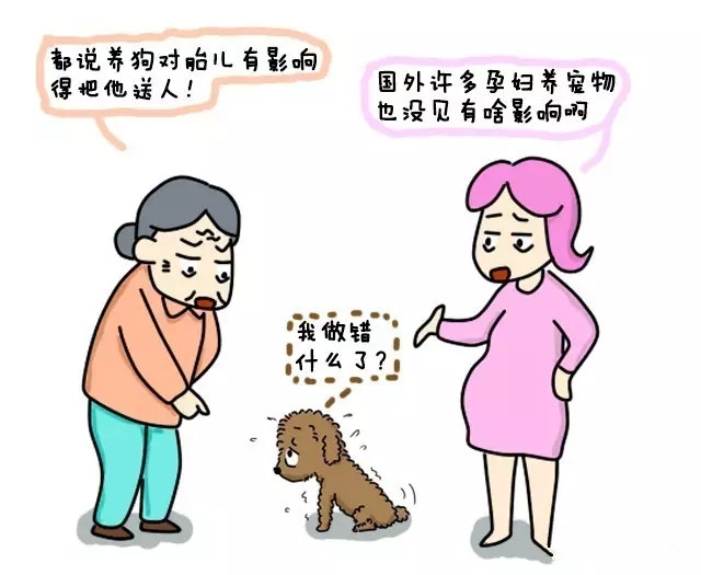 小区惊现倡议书，男子要求住户将宠物送走！孕妇养宠物,可行吗?