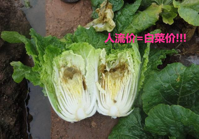 淮安做人流总共多少钱?当人流价=白菜价,你敢做吗?